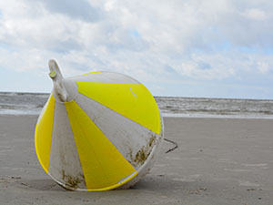 Ferienhaus Strandlöper in St. Peter-Ording